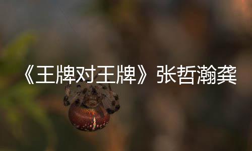 俊王王牌王牌期有龚俊张哲瀚在哪张哲对王第几一期牌对牌瀚龚