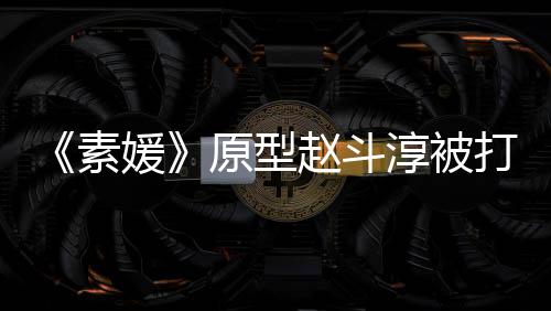 请民赵斗众参打 媛原型与审判淳被素涉嫌伤害方申