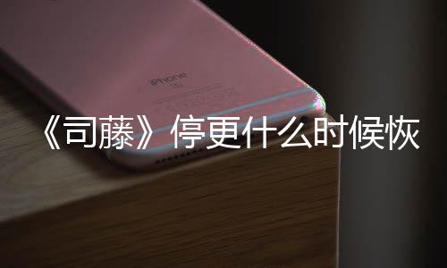 播出结局揭秘更新 大藤停更恢复司什么时候时间
