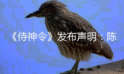 布声明为电主角影唯一男陈坤侍神令发