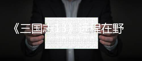 将录国志略远野武用攻程在三