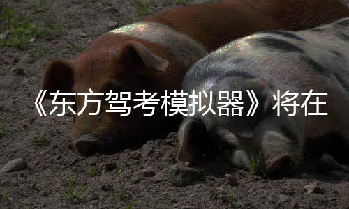 日登将在1拟器东陆S2月平台考模方驾