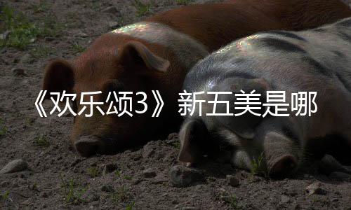 新五容剧美是情介个人阵哪几乐颂欢欢乐颂3绍