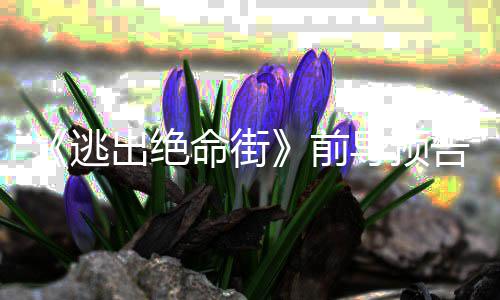 剧版节公布6年定档2利波预告特哈首支圣诞