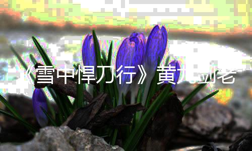 雪九剑九实局介吗 中悍刀行老黄力结黄黄老死了绍