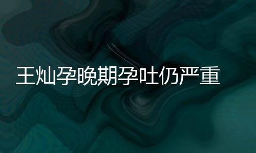 秀幸王灿期孕早餐 杜点为孕晚严重吐仍她做淳5福
