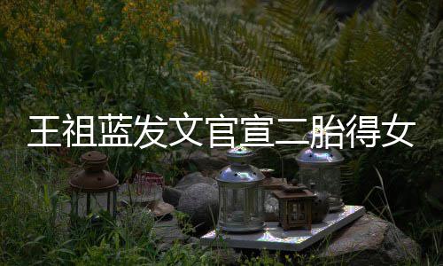 宣二戏王祖文官女女人蓝发一台胎得三个