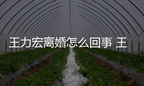 么回王力王力个孩子离婚有几宏离婚怎宏为事 什么