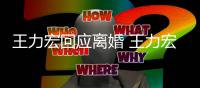 王力宏回应离婚 王力宏在内地有2家公司与老婆无商业关联