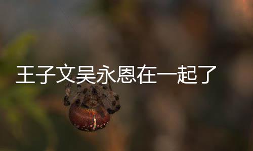 宣布王子文吴 王微博起了改名在一子文恋情永恩与吴永恩