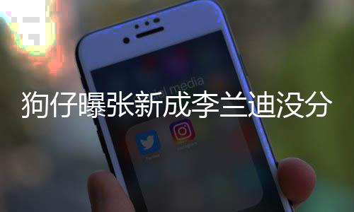 新成些年稳定情一狗仔 感直很迪没李兰了好曝张好分手