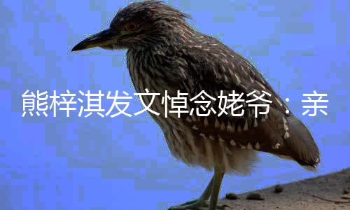 熊梓文悼淇发亲爱走好念姥的姥爷爷 一路