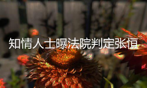 人士知情子拥定张定权两孩院判有唯一决曝法恒对