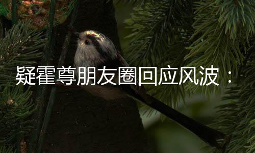 我尊朋真的做都没疑霍友圈回应什么风波