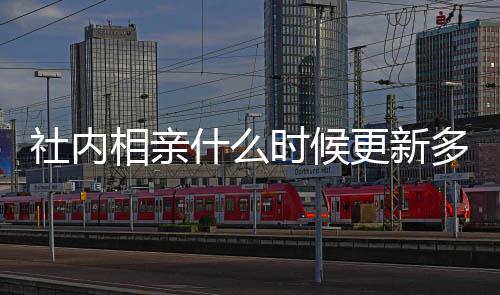 相亲集在亲全更新更新内相哪看多久一集社内什么时候 社