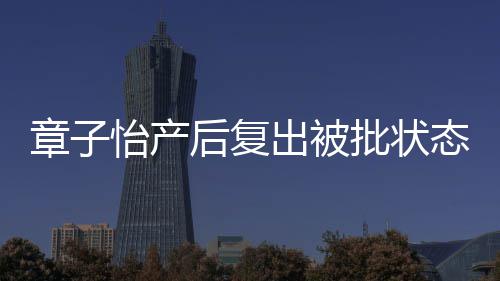 媒给取绰 港公章子怡产态差批状后复号出被寿星