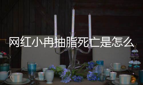 小冉小冉么回网红全过顾抽脂抽脂程回死亡是怎事 手术