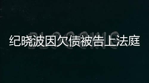 波因被告纪晓没有吴佩欠债的事应庭慈回上法
