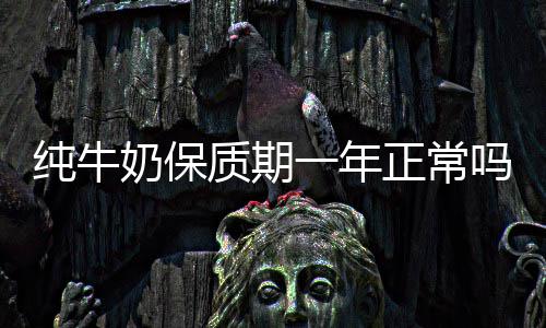 吗质期正常奶保一年纯牛
