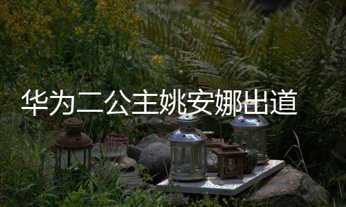 个人主姚资料照片二公 姚安娜安娜华为出道