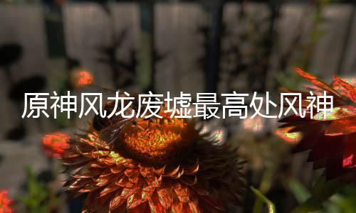 攻略最高原神处风神瞳收集风龙废墟