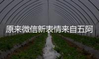 原来微信新表情来自五阿哥？苏有朋看后幽默发问
