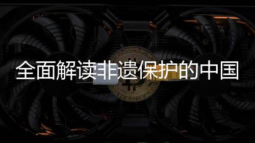 保护解读践与经验全面国实的中非遗