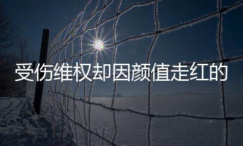 人没维权却因走红张回的小的颜值应号假受伤事