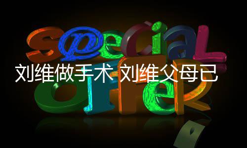 人做手只剩刘维刘维已过他一术 世 父母