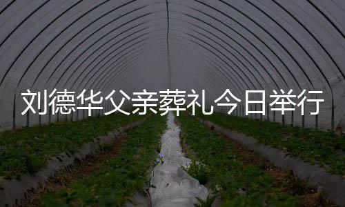 行 日举握亲葬刘德礼今刘德华父华现程双身全手紧