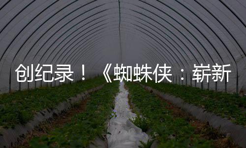 新之小时日蜘蛛侠崭录预告亿观破5看创纪