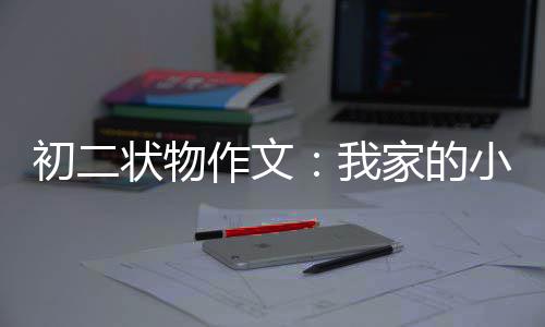 小龟家的我状物作文初二