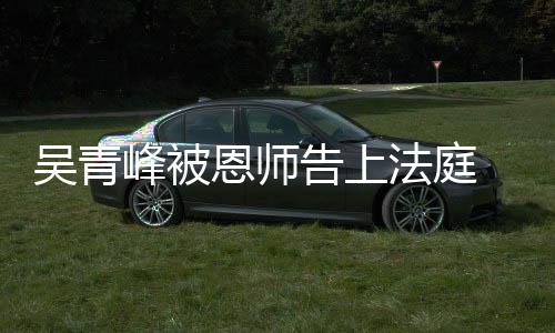 吴青告上恩师 一判持原审胜诉二审维峰被法庭