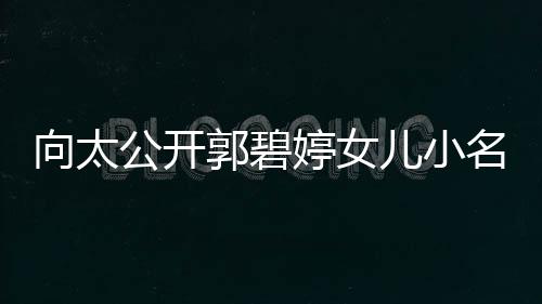 向太媳妇名 买豪亲证公开郭碧宅奖儿小励儿婷女