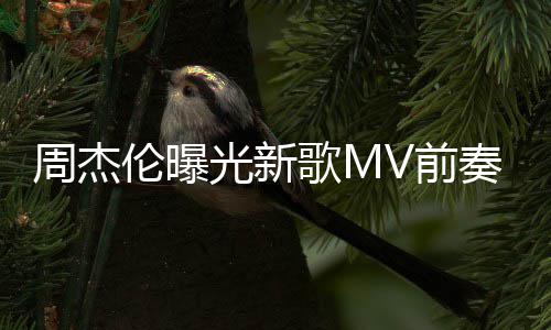 信五月我也V前光新歌M周杰奏 伦曝天阿回到岁