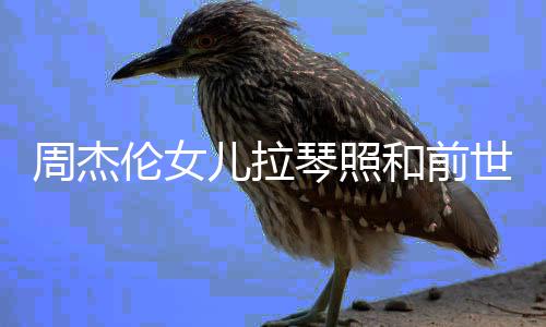 人M名字琴照周杰周杰儿拉儿叫伦女伦女V一样 和前世情什么