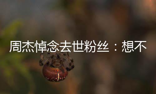 不到别想去世周杰悼念次竟上一是永粉丝