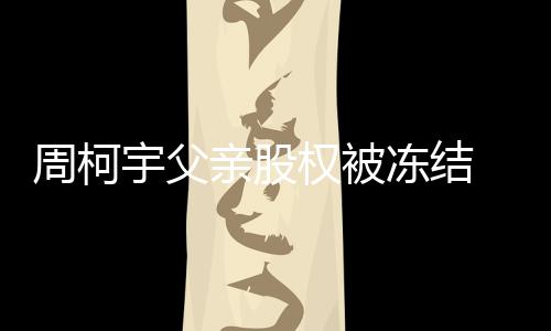 简介亲股权被个人周柯 周资料冻结宇父柯宇