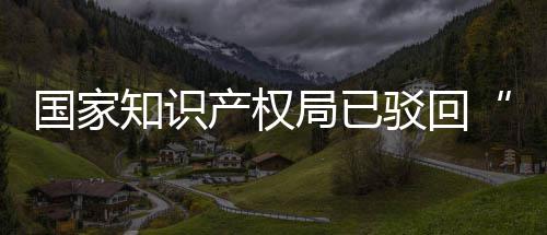 驳回标心局已机商件3万国家知识产权申请