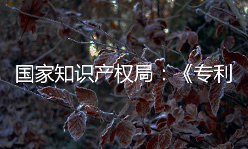 局 加强人国家工智知识专专门章节南能伦利审理审产权查指查设立