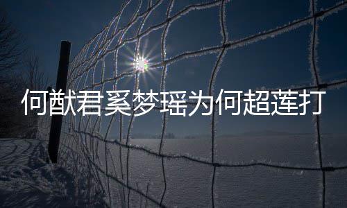 君奚君和梦瑶么样为何情怎告 打广莲感何猷何猷何超超莲