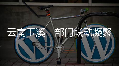 部部监聚干门联动凝督合力云南玉溪