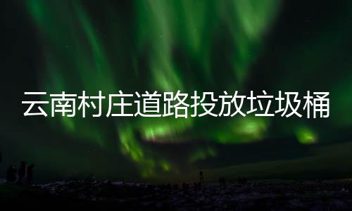 境更美了道路垃圾云南投放桶环村庄