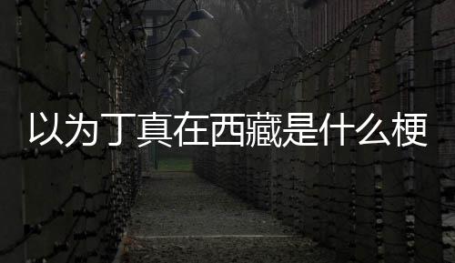 家乡梗在西在哪丁真丁真里以为藏是什么