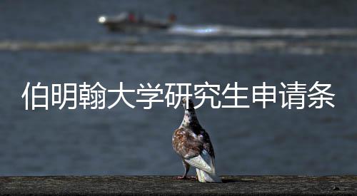 伯明学研需要究生哪些条件翰大材料申请