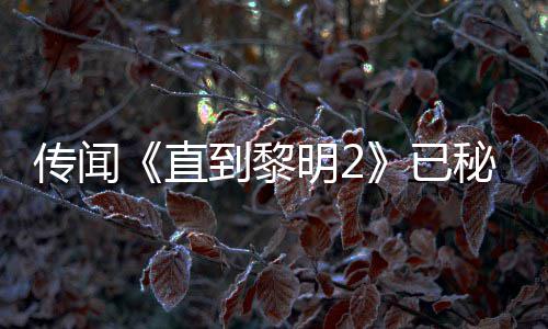 被柄独明2秘密直占能 到黎多年5独已用手特功曝活开发或为传闻