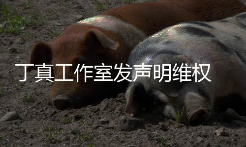 被包认已维权闻工作轨丁真养传婚出室发声明 否