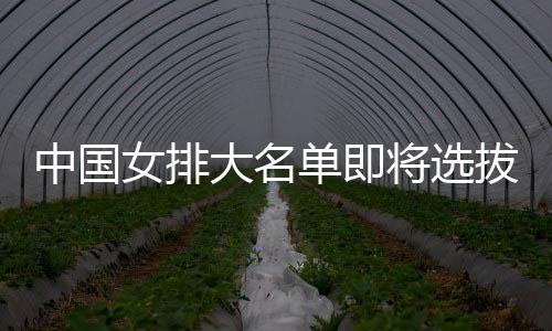 拔产将选据为重中国女排大名单即要依体能测试生