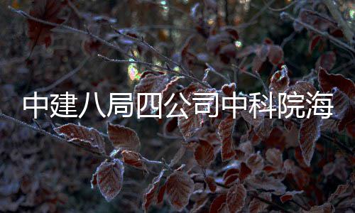 八局学研心正入使究中中建大科用科院海洋四公司中式投
