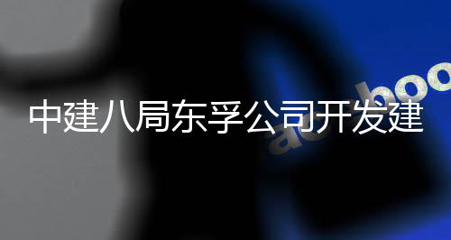 八局建设目竣区首公司个改造工交中建置项东孚的上的配套安开发海市崇明城中村付